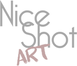 Nice Shot Art